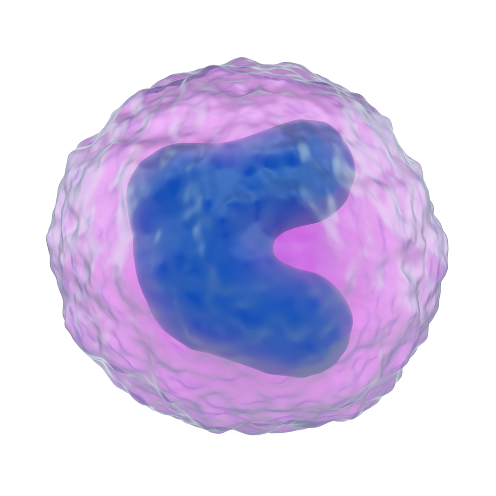 Immunsystem Icon