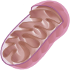 Multisystemerkrankungen I